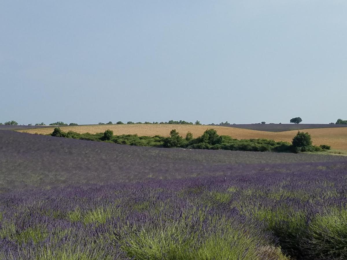 Gite Les Fourches Baudinard Exteriör bild